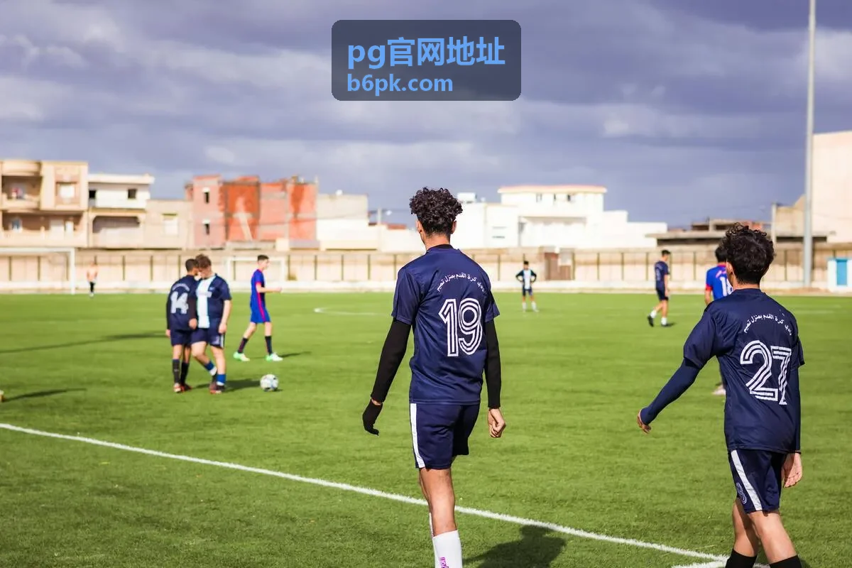 pg官网地址入口地址核对要点示意