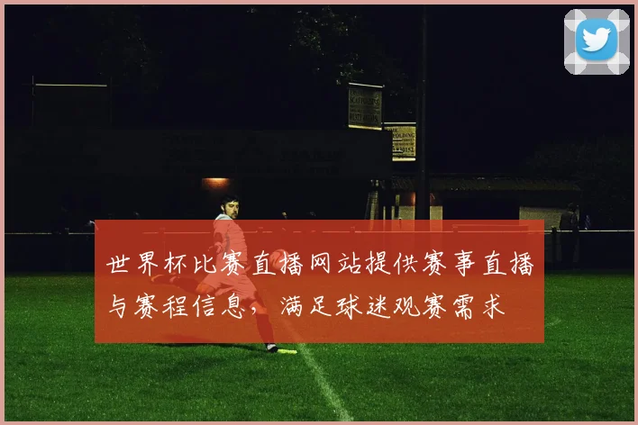 世界杯比赛直播网站提供赛事直播与赛程信息，满足球迷观赛需求