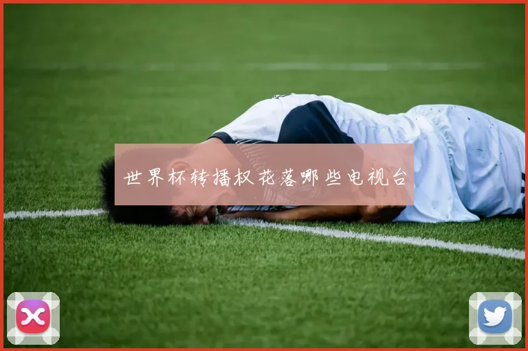 世界杯转播权花落哪些电视台