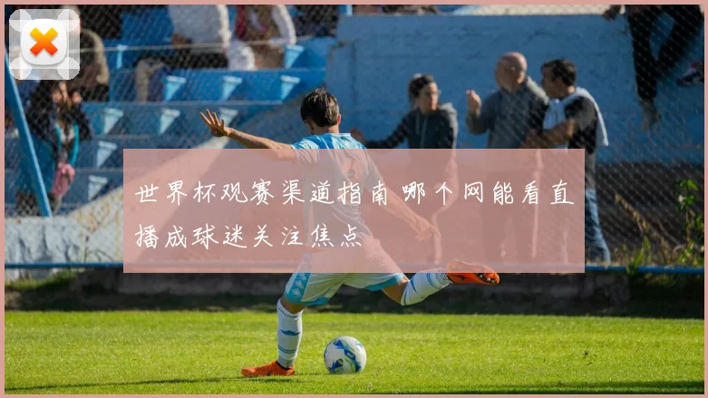 世界杯观赛渠道指南 哪个网能看直播成球迷关注焦点
