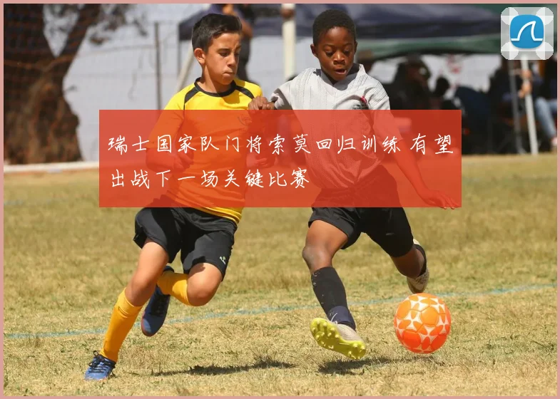 瑞士国家队门将索莫回归训练 有望出战下一场关键比赛