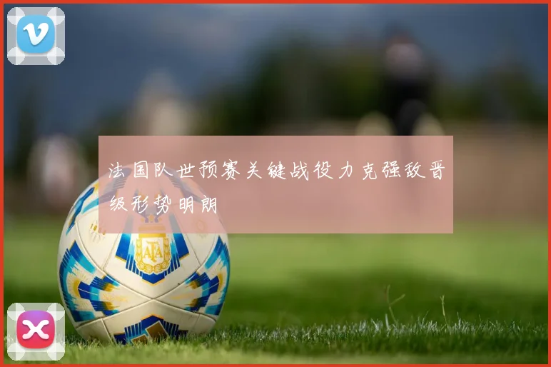 法国队世预赛关键战役力克强敌晋级形势明朗