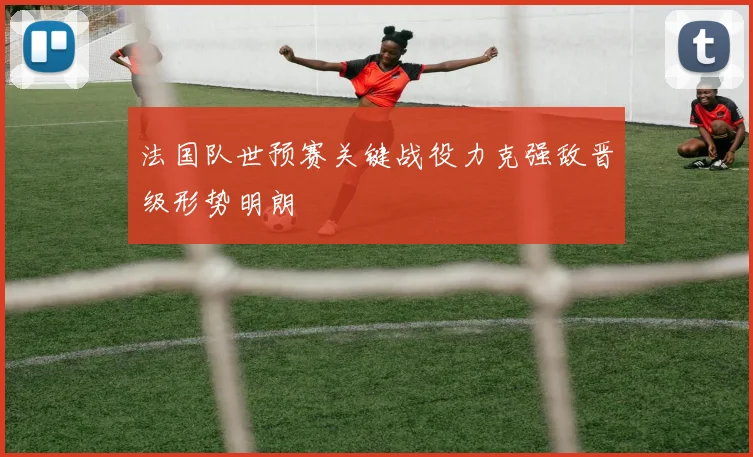 法国队世预赛关键战役力克强敌晋级形势明朗