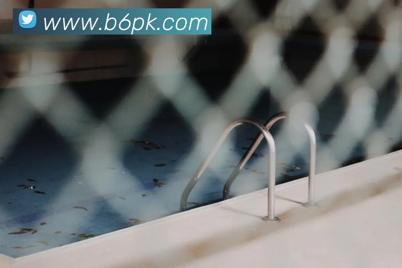 乐竞体育官方官网服务体系